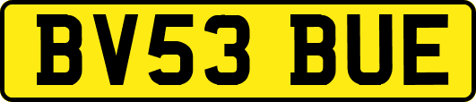 BV53BUE