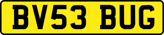 BV53BUG
