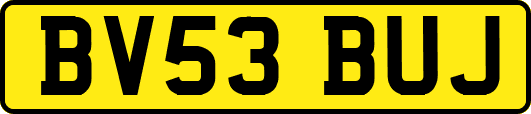 BV53BUJ