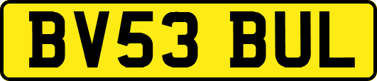 BV53BUL