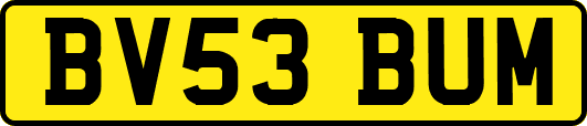 BV53BUM