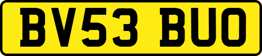 BV53BUO