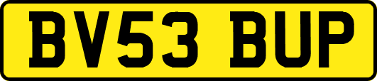 BV53BUP
