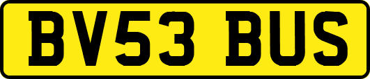BV53BUS