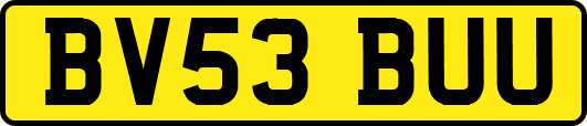 BV53BUU
