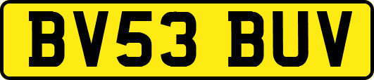 BV53BUV