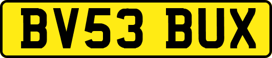 BV53BUX