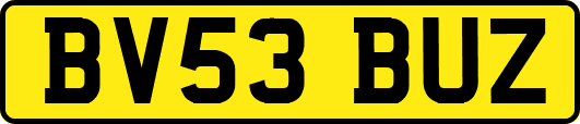 BV53BUZ