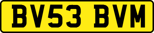 BV53BVM