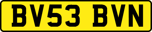 BV53BVN