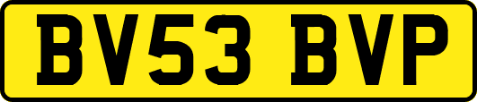BV53BVP
