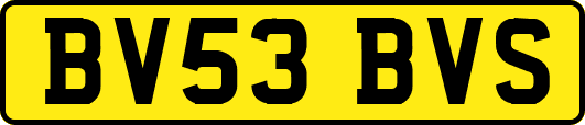 BV53BVS