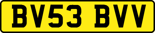 BV53BVV