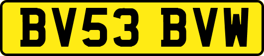 BV53BVW