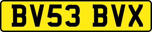 BV53BVX