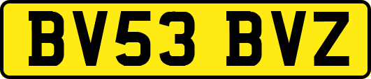 BV53BVZ