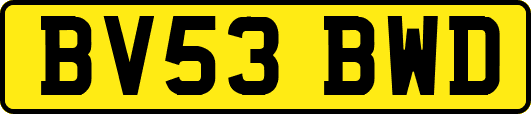 BV53BWD