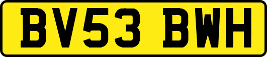 BV53BWH