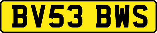 BV53BWS