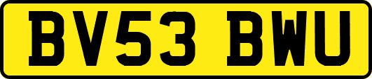 BV53BWU