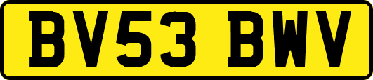 BV53BWV