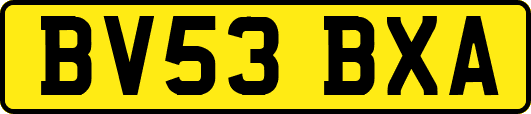 BV53BXA