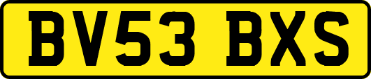 BV53BXS