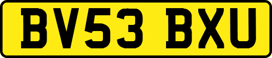 BV53BXU