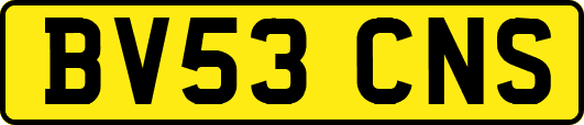 BV53CNS