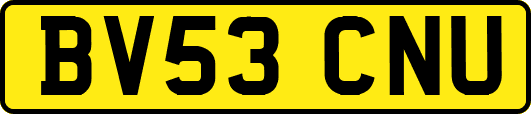 BV53CNU