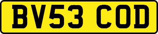 BV53COD
