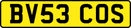 BV53COS