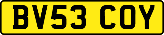 BV53COY