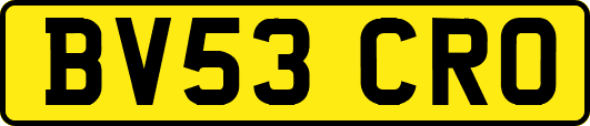 BV53CRO