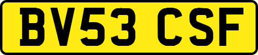 BV53CSF