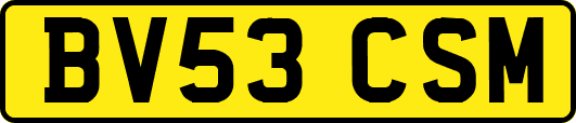 BV53CSM