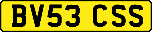 BV53CSS