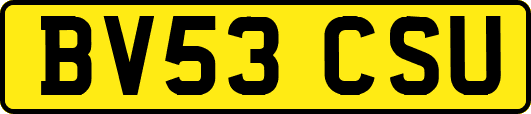 BV53CSU
