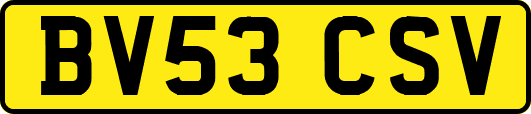 BV53CSV