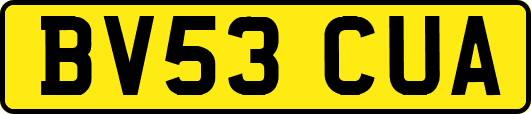 BV53CUA