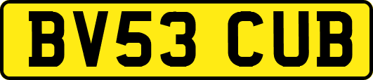BV53CUB