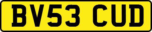BV53CUD