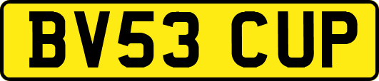 BV53CUP