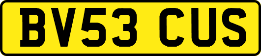 BV53CUS