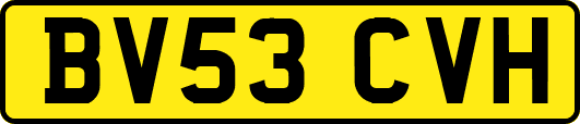 BV53CVH