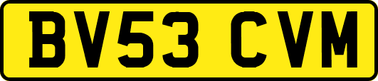 BV53CVM