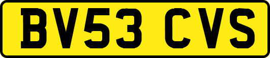 BV53CVS
