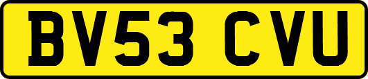 BV53CVU