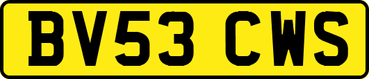 BV53CWS