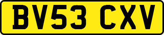 BV53CXV